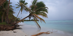 palm_bach_start.jpg